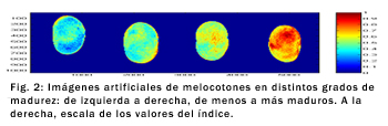 Madurez
